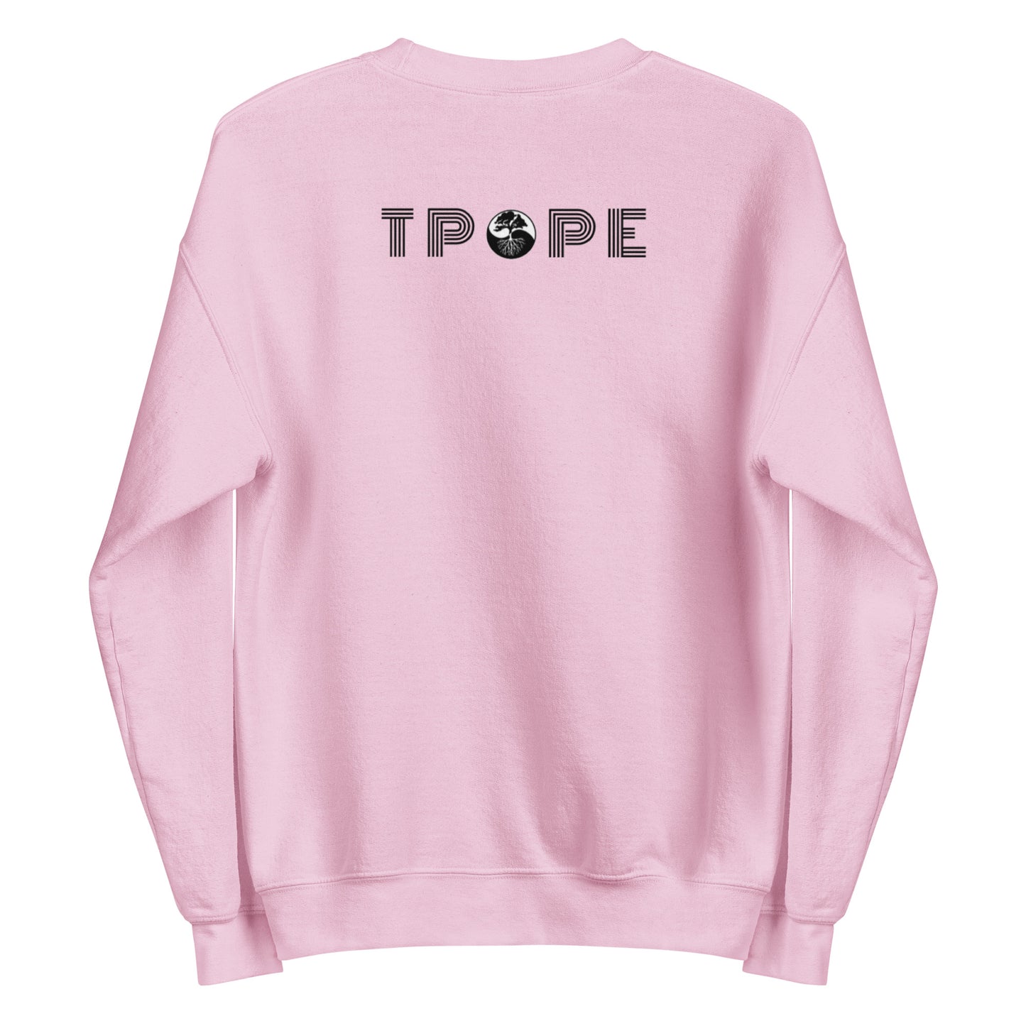 Compass Unisex Sweatshirt